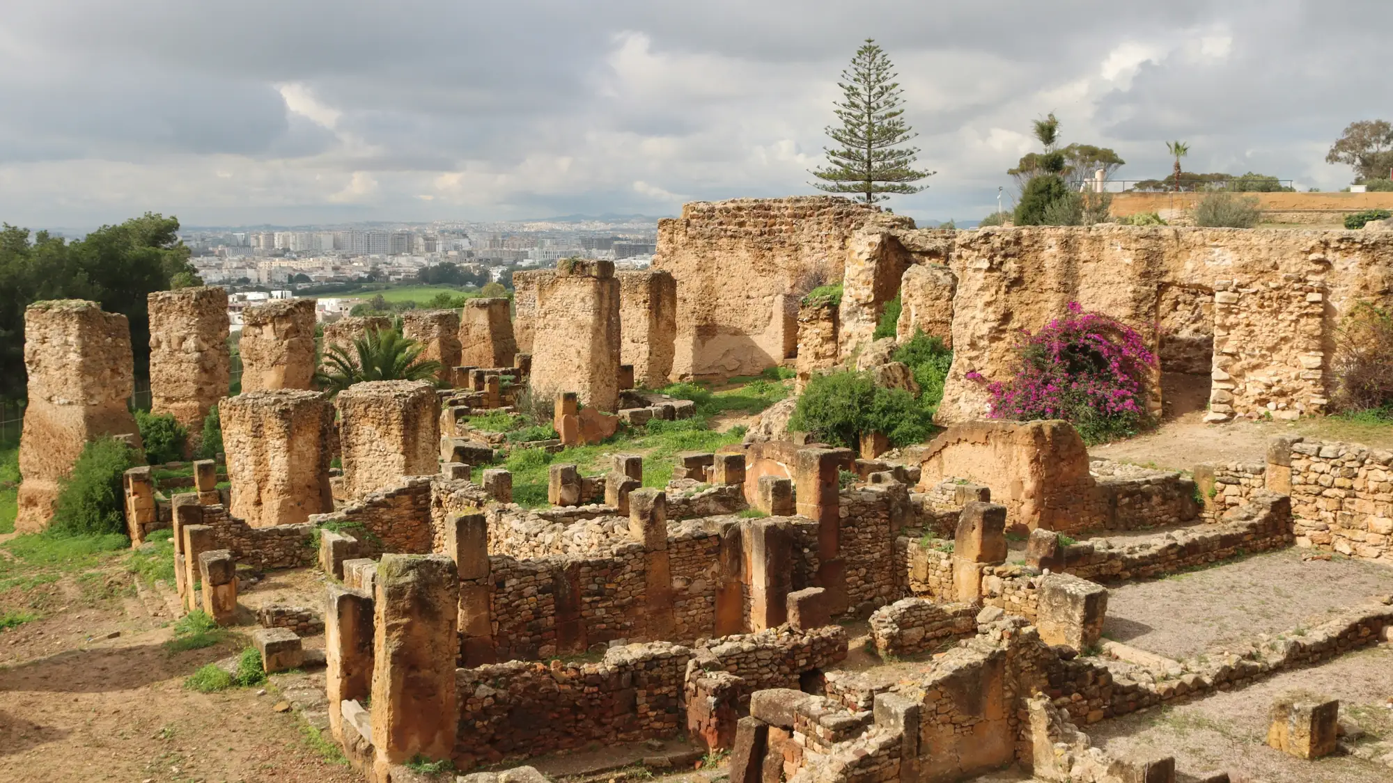 The Punic quarter of Byrsa: ochre stone walls and pillars, a bougainvillea in flower, the city in the distance under a cloudy sky